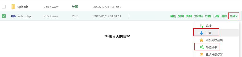 宝塔面板下载大文件时网速太慢怎么解决?-图片1
