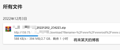 宝塔面板下载大文件时网速太慢怎么解决?-图片2